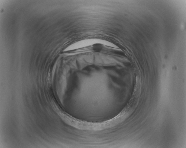 X0000080750048200701021042