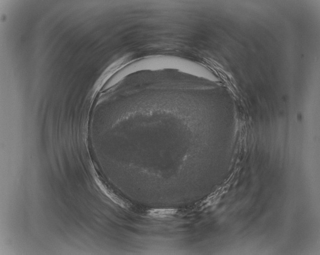 X0000080750051200701021041