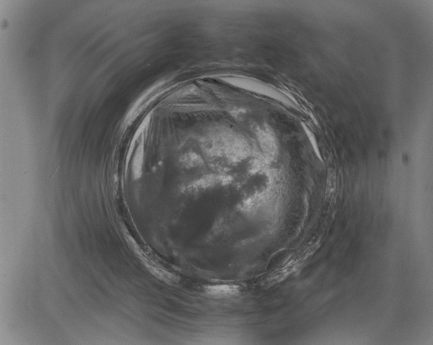 X0000080750053200701021041
