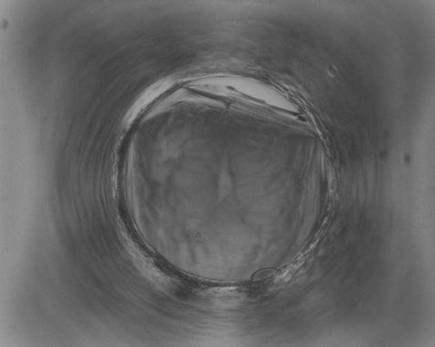 X0000080750054200701021041