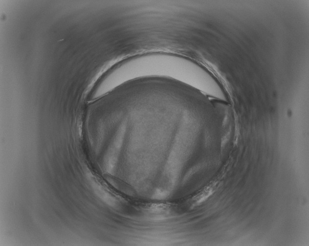 X0000080750060200701021041
