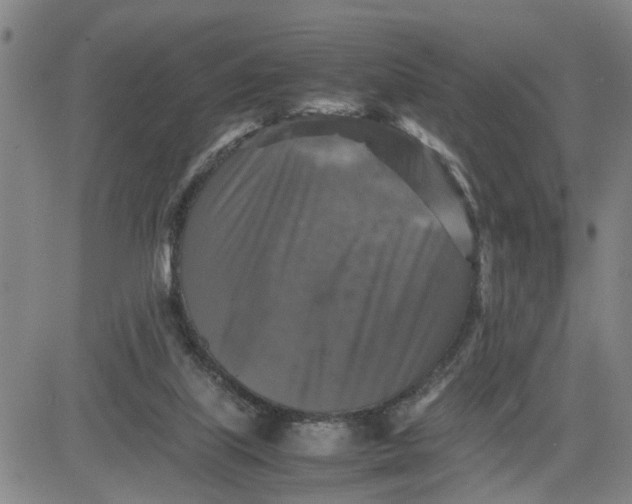 X0000080750067200701021041