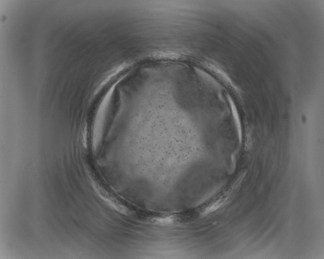 X0000080750068200701021041