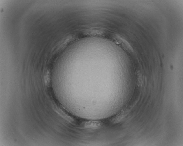 X0000080750077200701021041