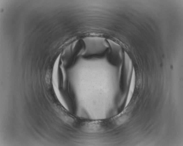 X0000080750078200701021042