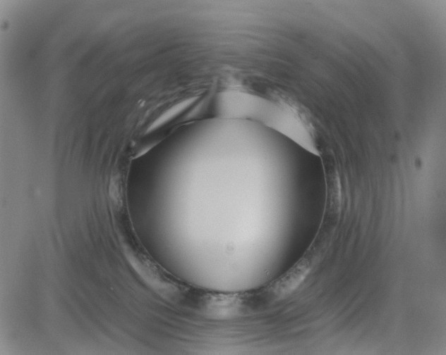 X0000080750088200701021042