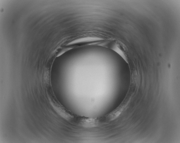 X0000080750092200701021042