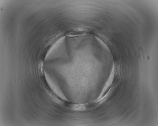 X0000080750094200701021042