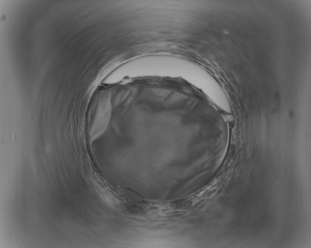 X0000080750099200701021041