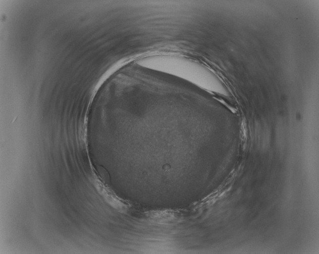 X0000080750100200701021041