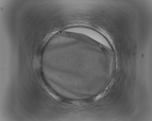 X0000080750105200701021041