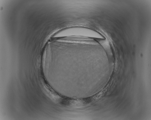 X0000080750107200701021041