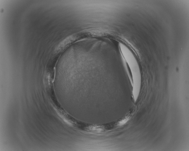 X0000080750117200701021041