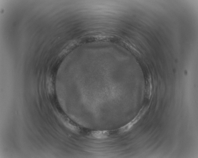 X0000080750136200701021040