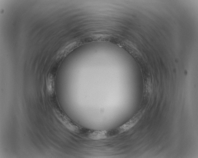 X0000080750138200701021040