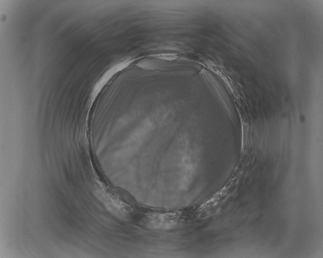 X0000080750147200701021039