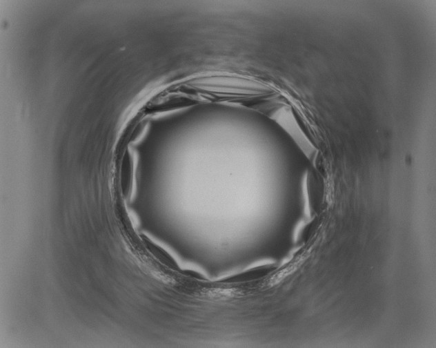 X0000080750152200701021040