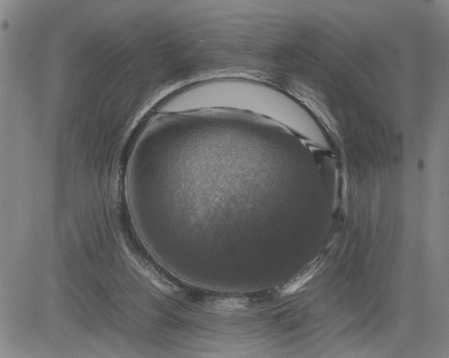 X0000080750156200701021040
