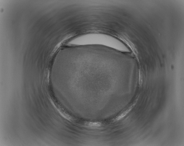 X0000080750157200701021040