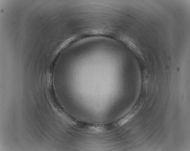 X0000080750164200701021040