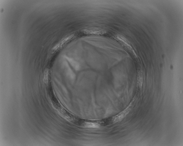 X0000080750167200701021040