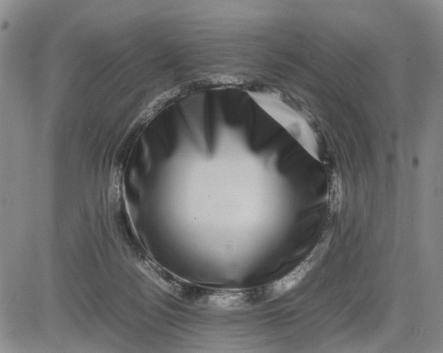 X0000080750172200701021040