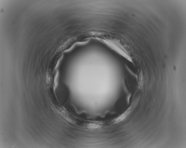 X0000080750176200701021040