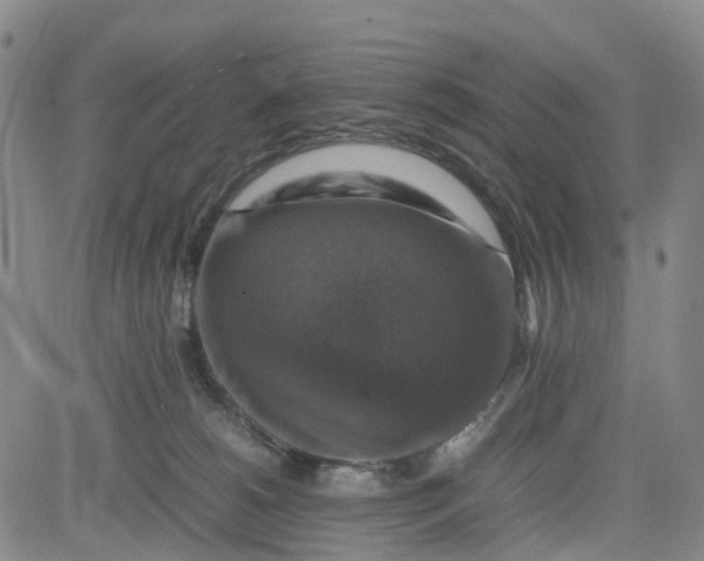 X0000080750180200701021040
