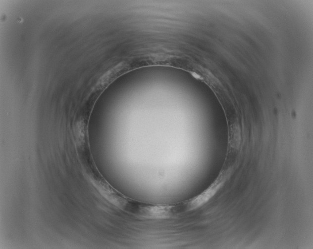 X0000080750184200701021040