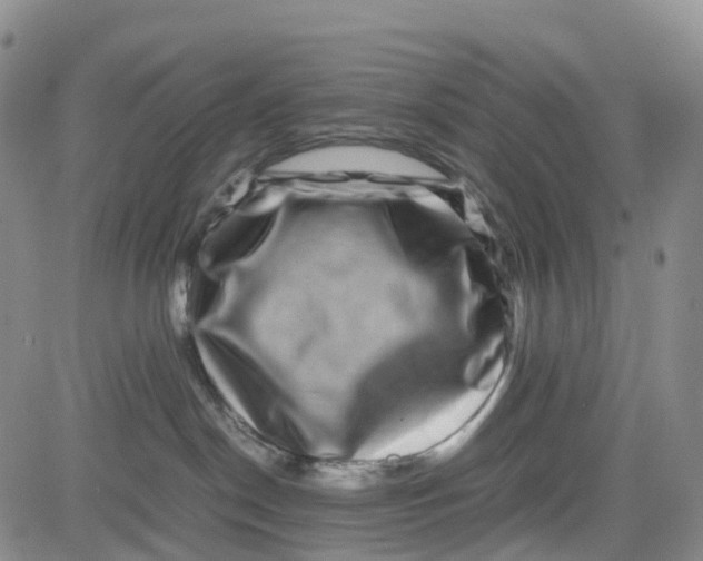 X0000080750190200701021040
