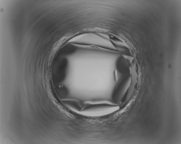 X0000080750193200701021039
