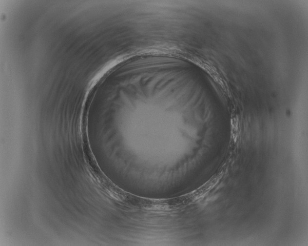 X0000080750196200701021039