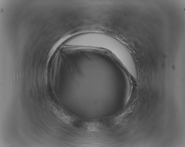 X0000080750200200701021039