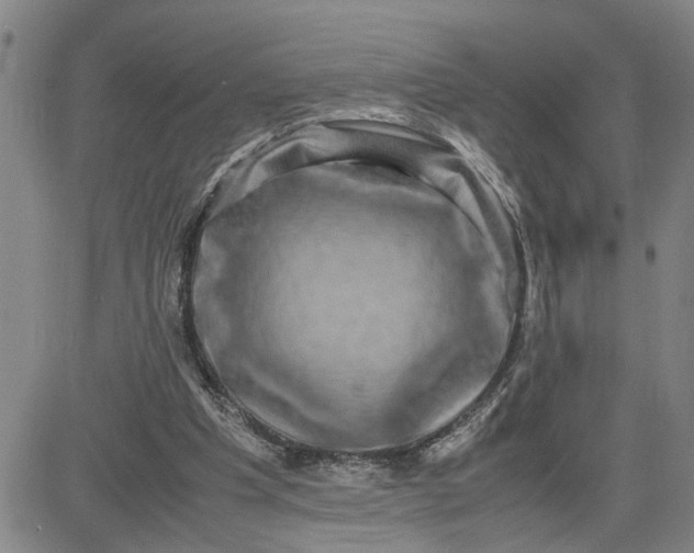 X0000080750201200701021039