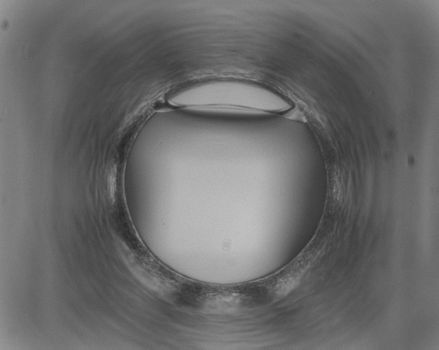 X0000080750206200701021039
