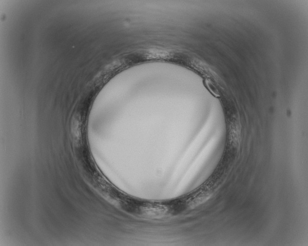 X0000080750215200701021039