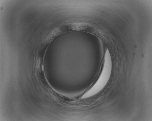 X0000080750219200701021039