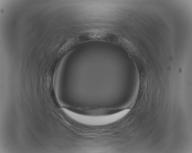 X0000080750227200701021039