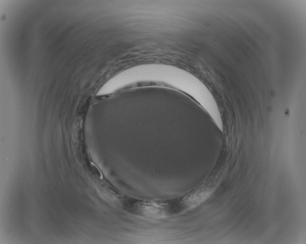 X0000080750229200701021039
