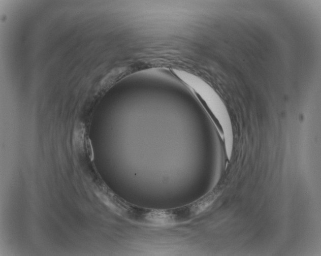 X0000080750231200701021039