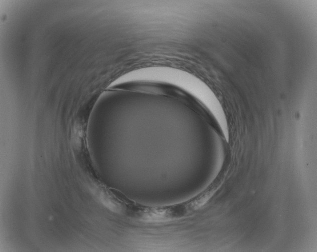 X0000080750235200701021039