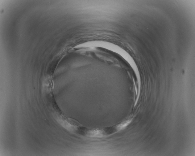 X0000080750237200701021039