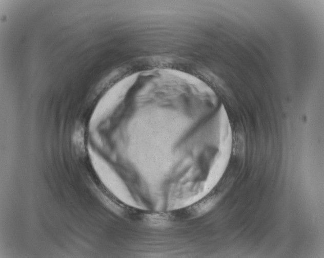 X0000080750238200701021039
