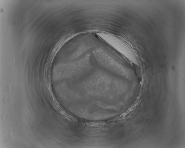X0000080750241200701021038