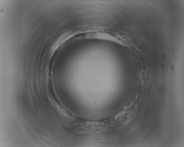 X0000080750242200701021038
