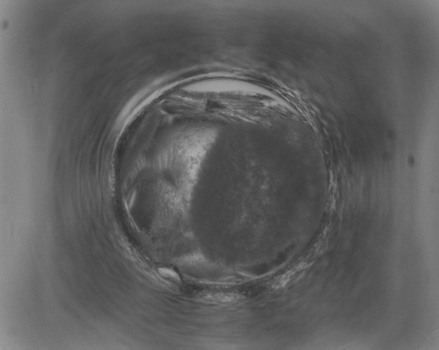 X0000080750247200701021038