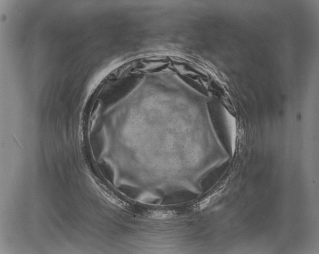 X0000080750248200701021038