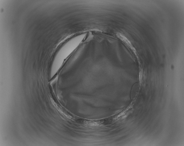 X0000080750249200701021038