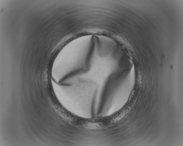 X0000080750256200701021038