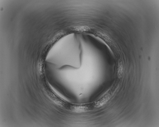 X0000080750268200701021038